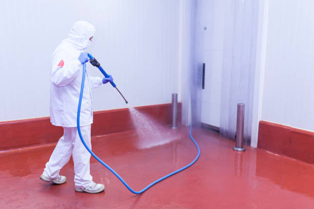 Best House Exterior Washing  in Tiburon, CA